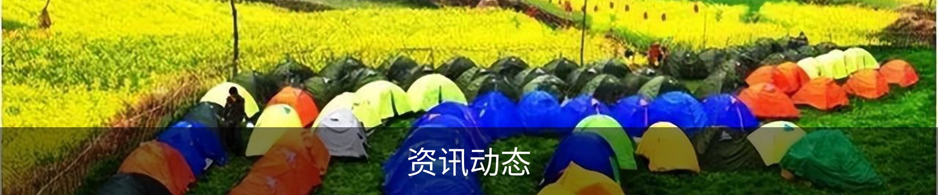 资讯动态